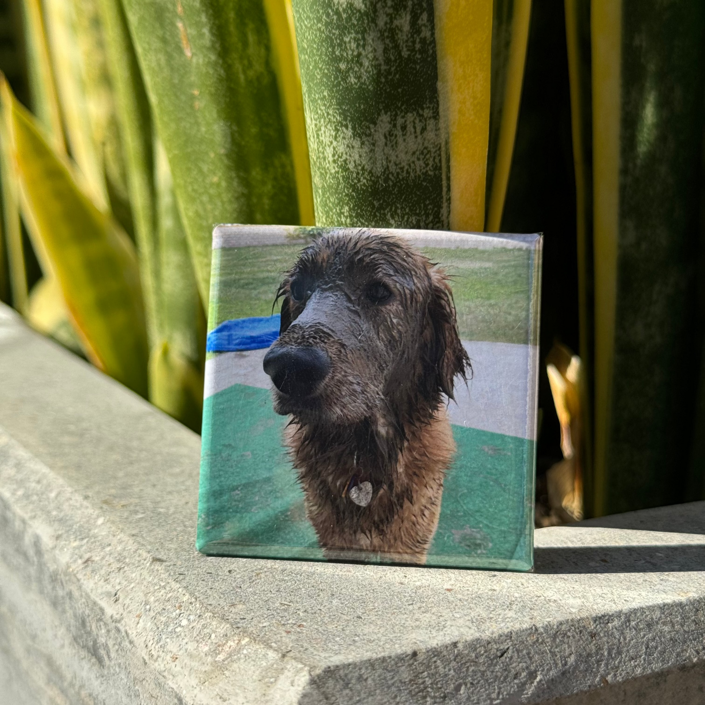 Personalized Photo Magnets
